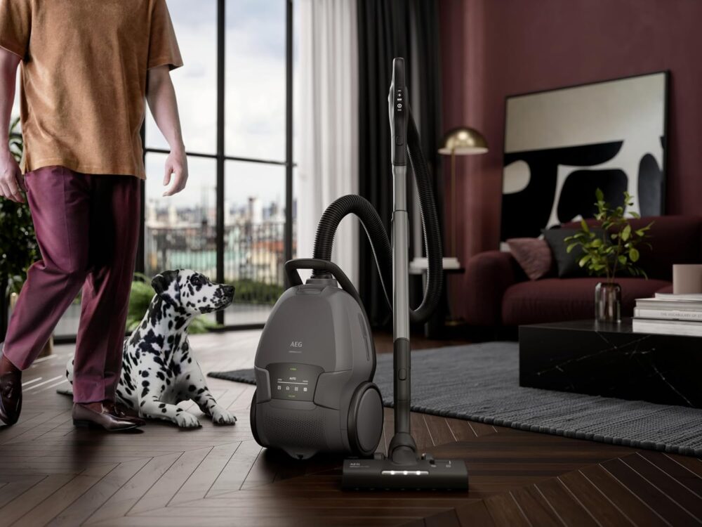 جاروبرقی AEG سری 8000 مدل AB81A2DG